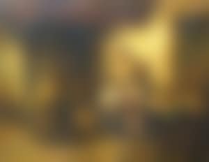 Interor genre scene (preview)