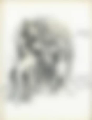 Donkey world (preview)