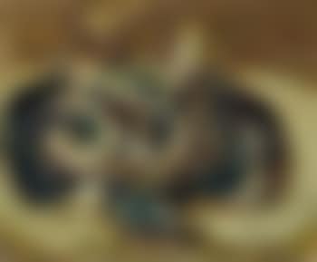 Nature morte (preview)