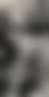 Composition (preview)
