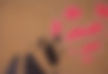 Sans titre (preview)