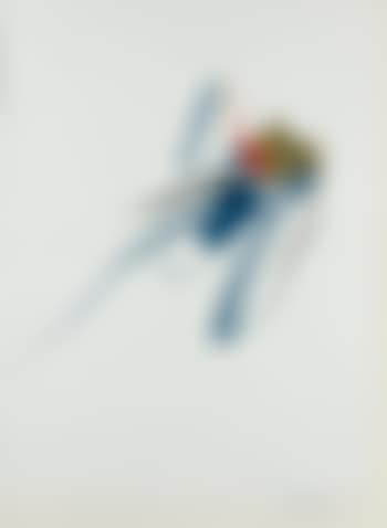 Composition (preview)