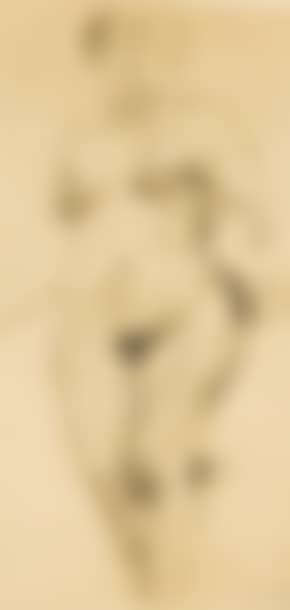 Femme nue de face (preview)