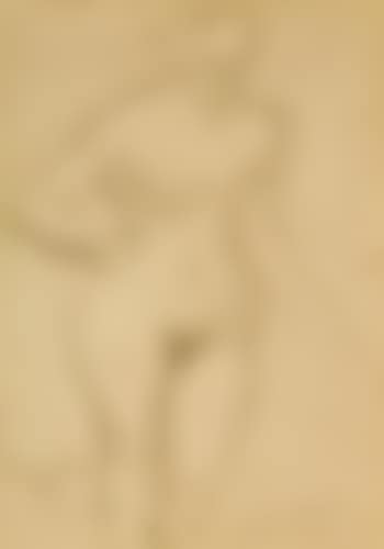 Nu de face (preview)