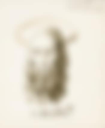Christ (preview)