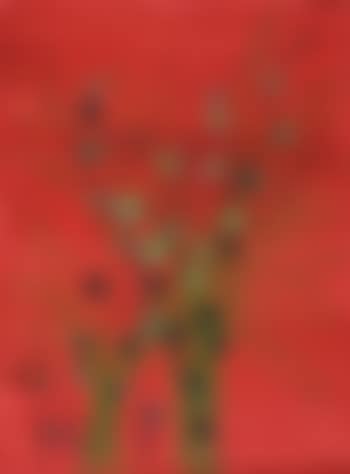 Flowers on red background (preview)