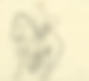Untitled (Horse and rider) (preview)