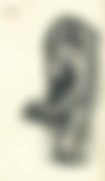 Untitled (Ballerina) (preview)
