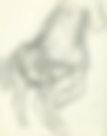 Untitled (Horse) (preview)