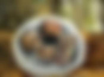 Assiette d'oursins (preview)