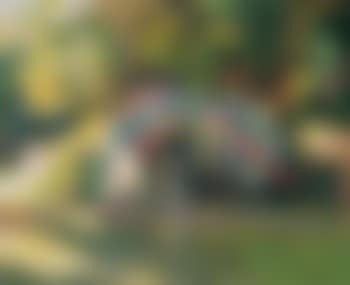 Le jardin fleuri (preview)