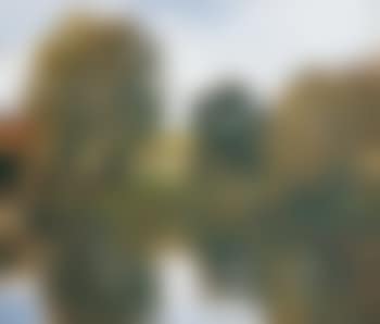Village au bord de l'étang (preview)