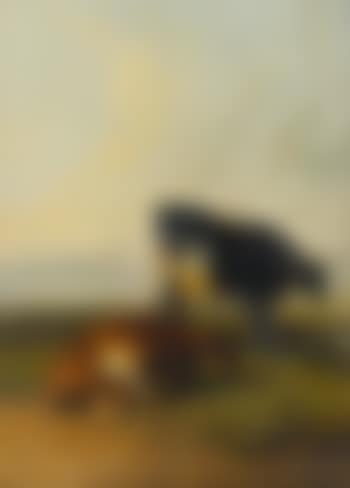 Two cows in a meadow (preview)