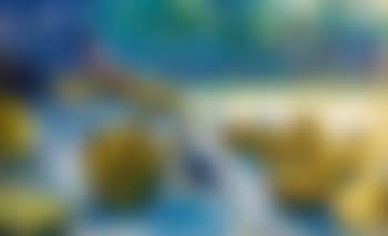Ashima (preview)