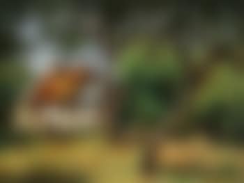 Chaumiere (preview)