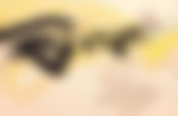 Composition (preview)