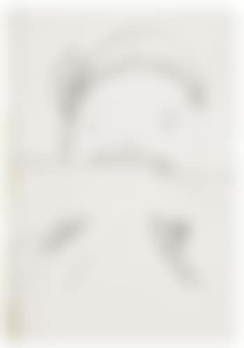 Untitled (Face & Boats) (preview)