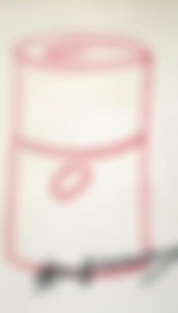 Campbell's soup (preview)