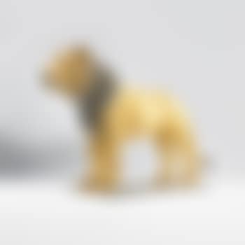 Untitled (lion) (preview)