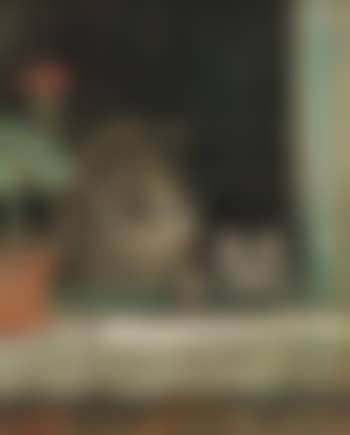 Two cats at a window (preview)