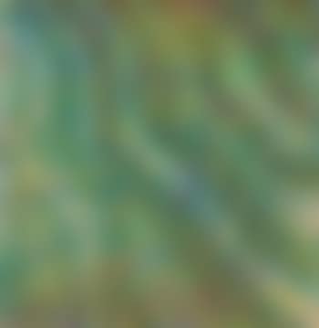 Winter Solstice (preview)