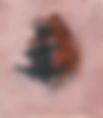 2 Dogs (preview)