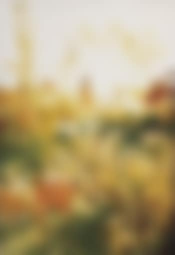 Butter Colored Vision of the Land o'Lakes Girl Peche Island (preview)