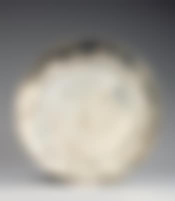 Visage larve (preview)