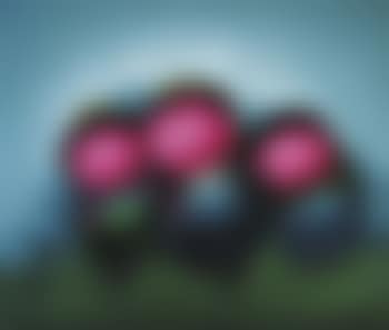 Early Morning (preview)