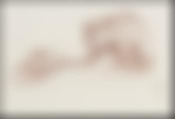 Mountain Lion and rabbit (preview)