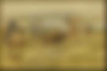 Pablo Buffalo Hunt (preview)