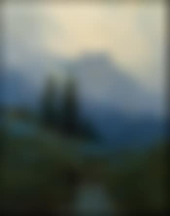 Alaska wild iris (preview)