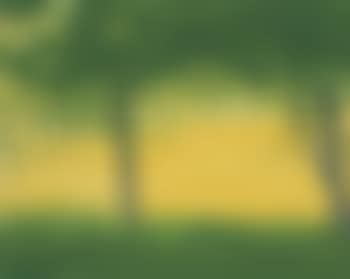 Golden Field #1 (preview)