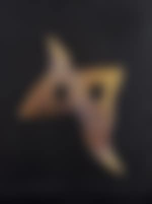 Masque oiseau (preview)