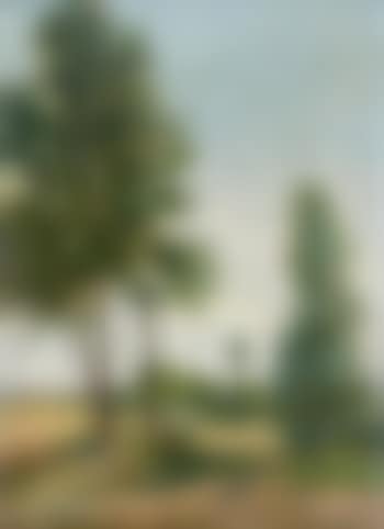Paysage des arbres (preview)