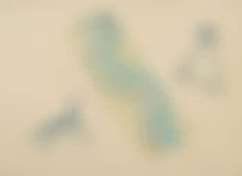 Untitled (preview)