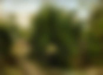 Rural scene near Havana, Cuba (preview)