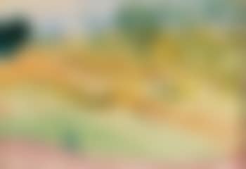 Vue d'un paysage en Asie (preview)