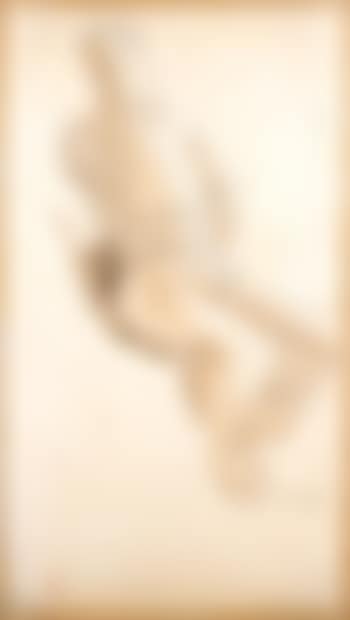 Portrait de chef mongol (preview)