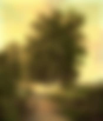 Landscape near Schevenning (preview)