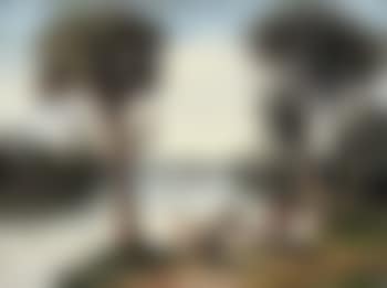 Steamboat down the river (preview)