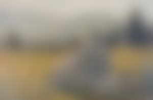 Behind the Field, Highfield (preview)