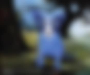 I've lost my Pirogue: blue dog series (preview)