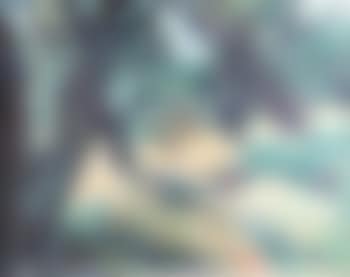 Olive trees at Claviers (preview)