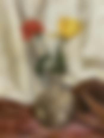 Yellow and red roses (preview)