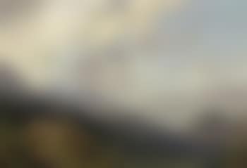 Elk overlooking a river (preview)