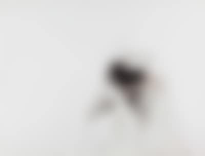 Erotischer Akt (preview)