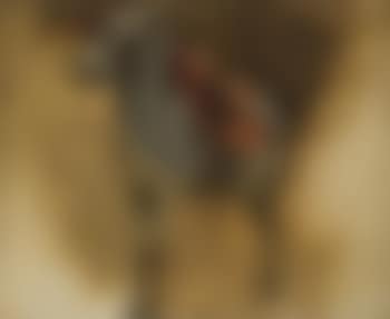 Etude pour un ane (preview)