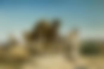 Caravane dans le desert (preview)