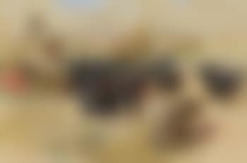 Halte de la caravanne (preview)